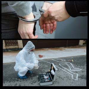 Deadly Obsession: When Crime Defies Logic by Anthony Okoye