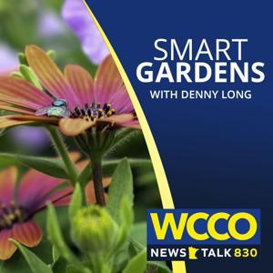 WCCO's Smart Gardens by Audacy