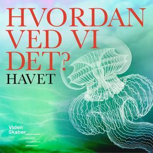 Hvordan ved vi det? by Videnskabernes Selskab