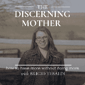 The Discerning Mother by Brigid Tebaldi