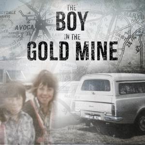 The Boy in the Goldmine by Dee Dee Dunleavy