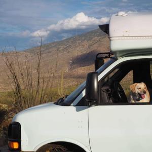 Shake Some Dust: an American Expatriate Traveling in America by Clinton Harris