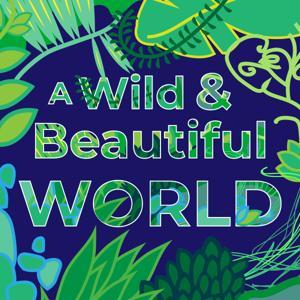 A Wild and Beautiful World by Emily Johnston