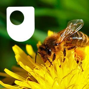 Ecosystems: living communities - for iPod/iPhone by The Open University