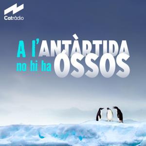 A l'Antàrtida no hi ha óssos by Catalunya Ràdio