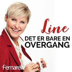 Det er bare en overgang by RadioPlay