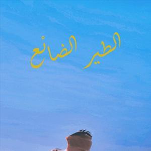 الطير الضائع by Islam Basyoni