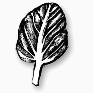 The Local Food Report by WCAI