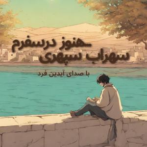 آخرین صفحه از یک رمان/Aidin Fard by Aidin Fard