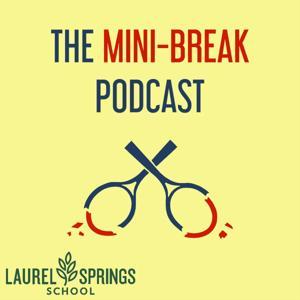 The Mini-Break [Tennis Podcast] by Bleav, Cracked Racquets