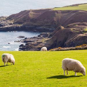 Countryside by Manx Radio