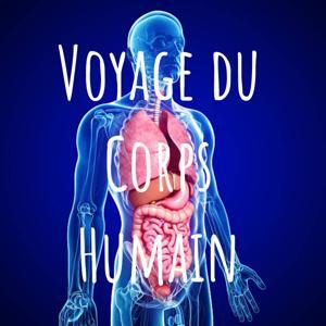 Voyage du Corps Humain by Kamel-Eddine
