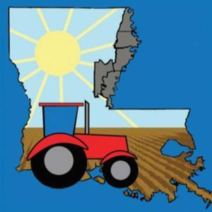 Louisiana Delta Crop Podcast by Kylie Miller