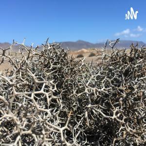 一个人的生活 by 常嘉