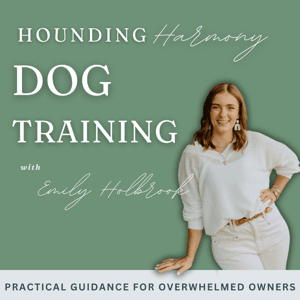 Hounding Harmony Dog Training by Emily Holbrook