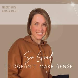 So Good it Doesn't Make Sense by Meagan Norris
