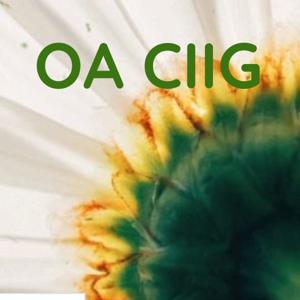 OA Channel Islands by Natalie G.