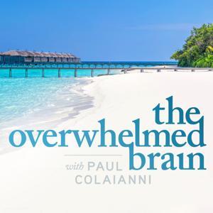 The Overwhelmed Brain by Paul Colaianni: Relationship and Emotional Abuse Expert