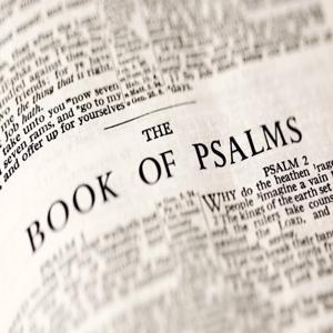 The Book of Psalms: Presented by Providence Presbyterian Church HIlton Head by Providence Church