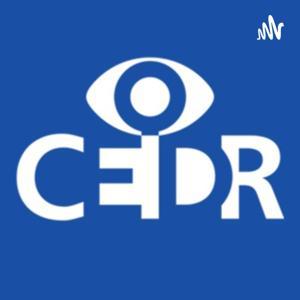 The Better Conflicts Audio Experience by CEDR