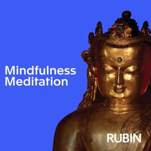 Mindfulness Meditation Podcast by Rubin Museum of Himalayan Art