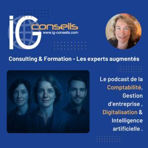 IG CONSEILS – Experts Augmentés en Comptabilité, IA et Digitalisation by IG CONSEILS - Carole BERDER