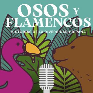 Osos y flamencos by Unidos por la Historia