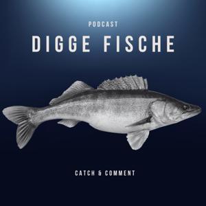 DIGGE FISCHE by Angelo und Tim