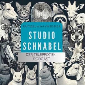 Studio Schnabel – der Telepfotie-Podcast by Anja Rützel und Claudi Widder