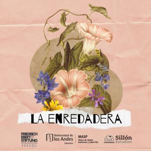La Enredadera by La Enredadera: Ciudades y territorios ecofeministas