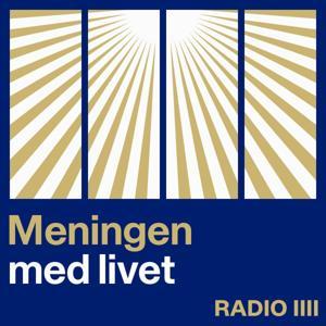 Meningen med livet by RADIO IIII