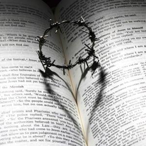 廣東話聖經故事 + 心靈片語 |  Bible Stories + Soul Whispers in Cantonese by ↝ https://NTOGstorytelling.wordpress.com/