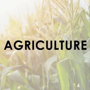 Agriculture by Daily Dodge