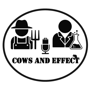 Cows and Effect by Paul Allison and Michael Blanche