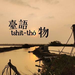 臺語𨑨迌物 by Ng Khe-ian