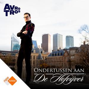 Ondertussen aan de Hofvijver by NPO Luister / AVROTROS