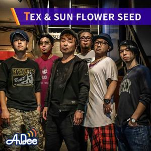TEX & SUN FLOWER SEED「太陽のリズム」 by JAPAN FM NETWORK