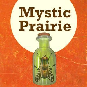 Mystic Prairie by 3rd Cosmonaut