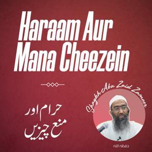Haraam aur Mana Cheezein by Shaykh Abu Zaid Zameer حفظہ اللہ