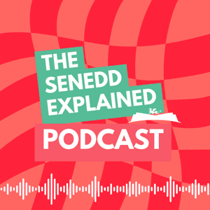 The Senedd Explained Podcast by Senedd Explained and Be the change. Media Network