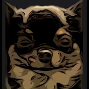 Not Truly Aggressive: A Dog Training Podcast by nottrulyaggressive