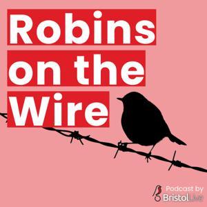Robins on the Wire by Bristol Live