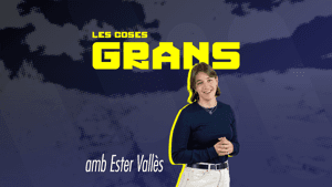 Les coses grans by Ràdio i televisió d'Andorra S.A.