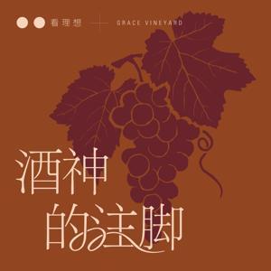 酒神的注脚 by 看理想vistopia