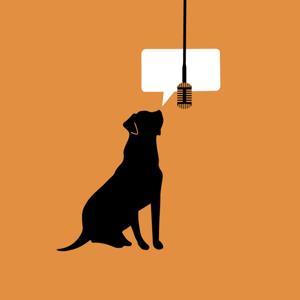 PreVet Pawscast by UF College of Veterinary Medicine Admissions