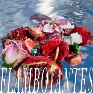 Flamboyantes by Arthur Lefebvre