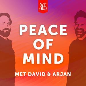 Peace of Mind by David de Kock & Arjan Vergeer / 365 Dagen Succesvol