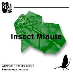 Insect Minute by WKNC 88.1 | NC State Student Radio