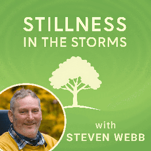 Stillness in the Storms by Steven Webb