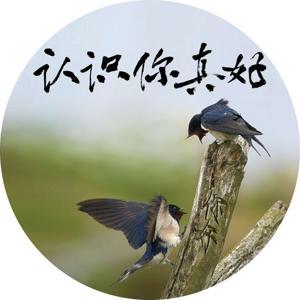 认识你真好 by 认识你真好